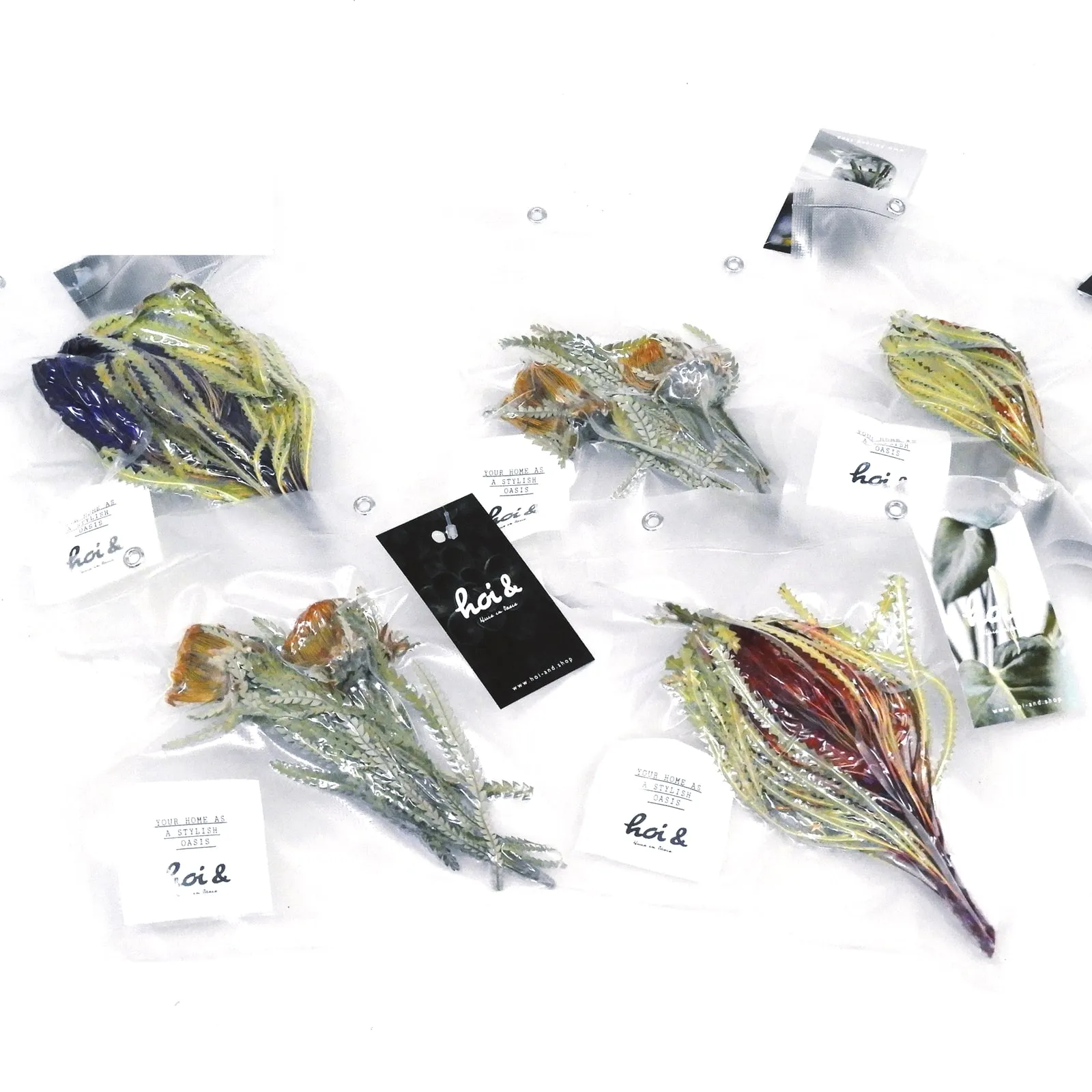 ドライフラワー 真空パック(DRY FLOWER PACK)